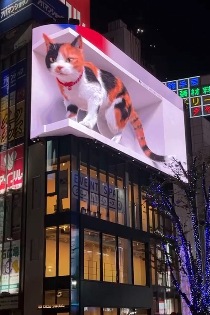 クロス新宿ビジョン（新宿東口・裸眼3D）