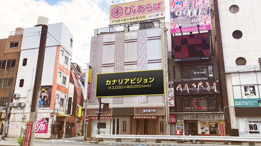 カナリアビジョン 実写
